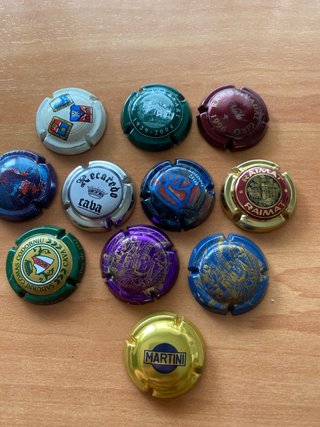 Colección de 10 chapas de cava variadas