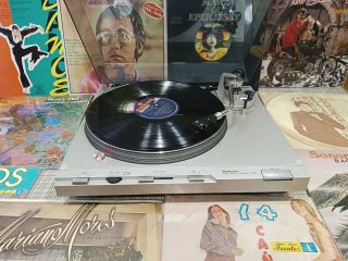 Tocadiscos Technics SL D3