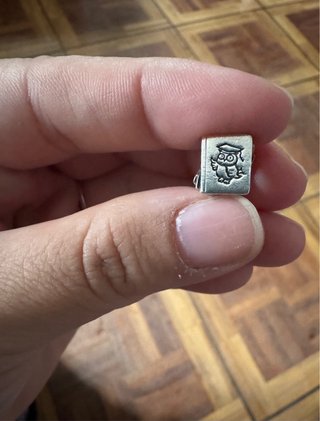 Charm Pandora Libro