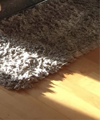 Tappeto grigio in pelo lungo pulito dalla tintoria