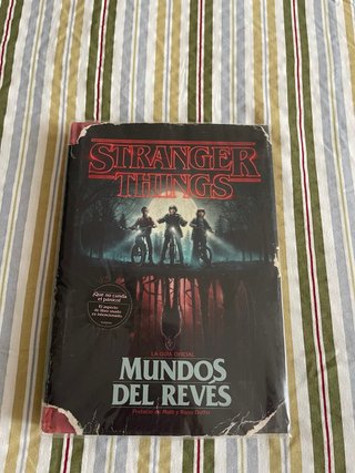 Stranger Things, mundos del revés
