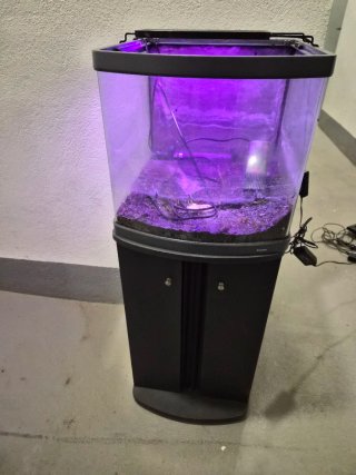 Acuario Sera 60 Litros Curvo con Mesa