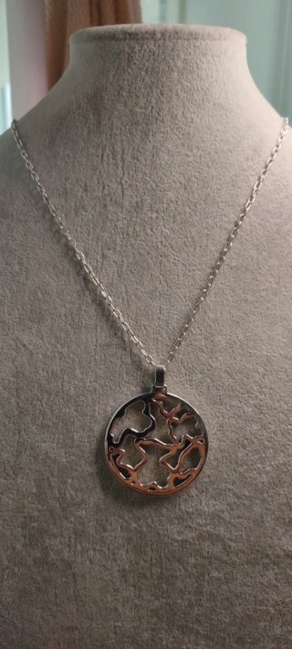 Colgante de plata con cadena
