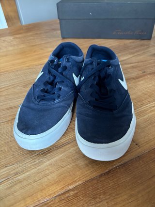 Zapatillas Nike SB Skate Azul y Blanco T 42
