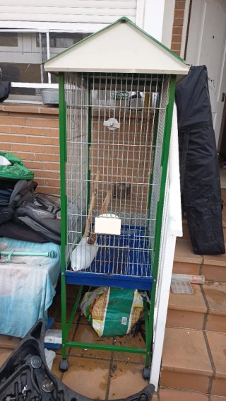 Jaula para loros con tejado