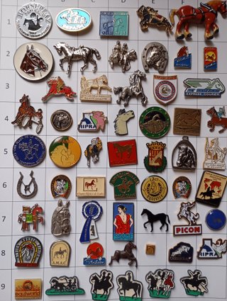 AA578 Colección de 570 Pins Ecuestres