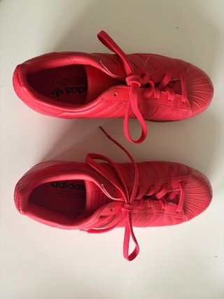 Adidas Superstar Rojas Glossy Toe