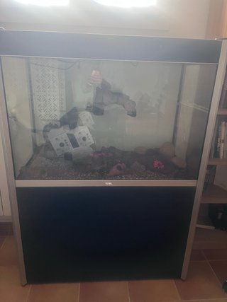 Acuario FLUVAL 300L con Mueble