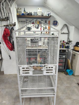 Jaula para Loro