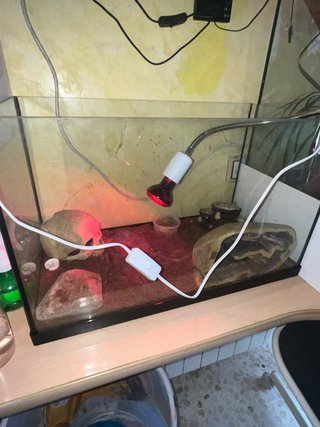 Terrario para Reptiles
