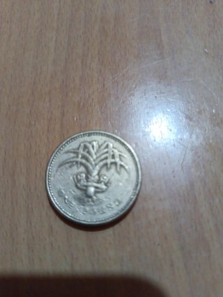 Moneda de una libra esterlina