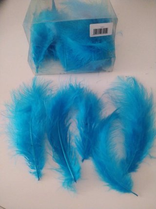 Plumas Decorativas Azules