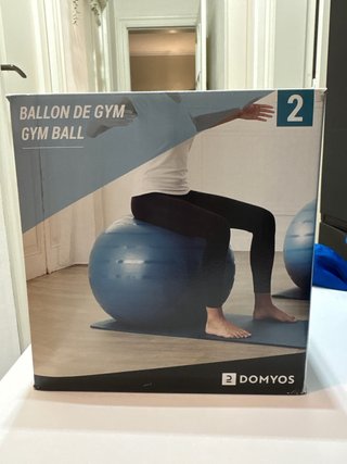 Pelota de Gimnasia Domyos