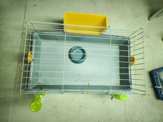 Jaula para conejo o cobaya