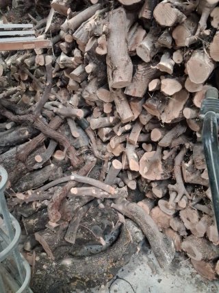 Leña de Olivo Seca