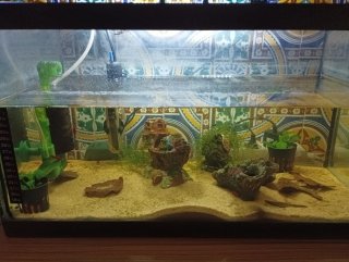 Acuario negro y cristal
