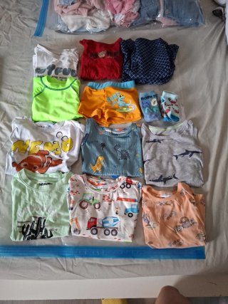Lote de 12 prendas para niño de 2 años