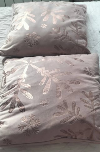2 Cojines Decorativos de Terciopelo