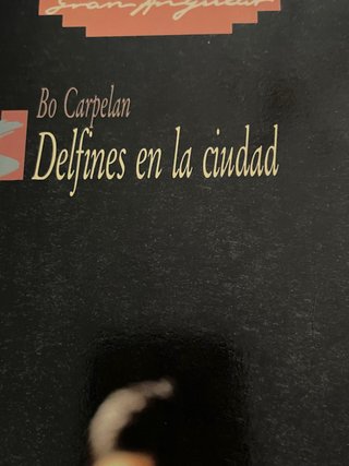 Delfines en la ciudad