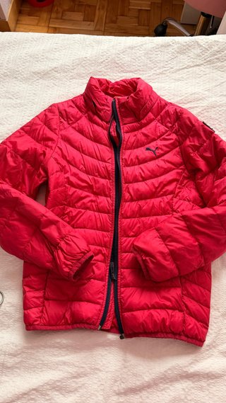 Cazadora Puma Rosa fuerte  8-10