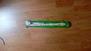 Flauta Escolar con Funda