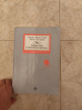 Derecho constitucional libro
