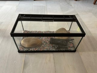 Pecera de 42x21x19 cm
