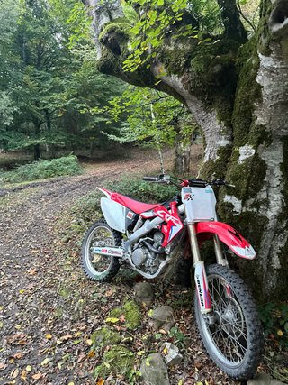 Honda CRF 250R 2008