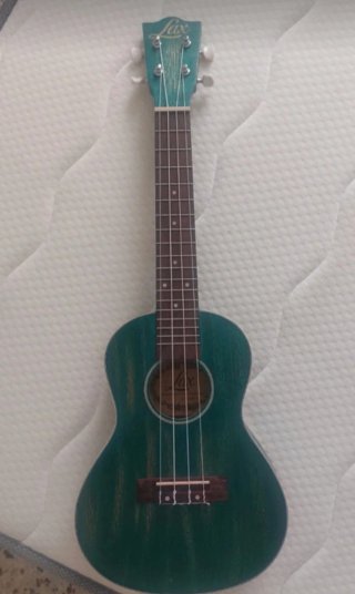 Ukulele 4 corde Lax verde con custodia e umidifica