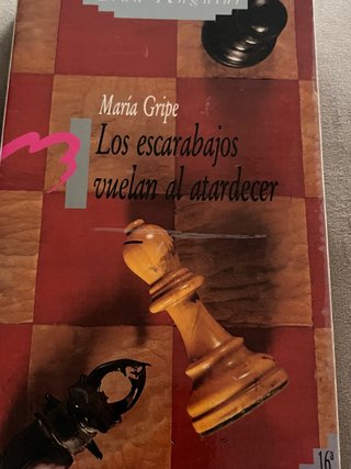 Los escarabajos vuelan al atardecer