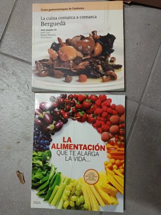 Lote de dos libros de cocina