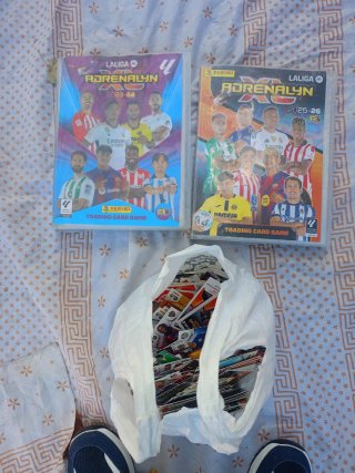 Lote Cartas Adrenalyn XL Panini