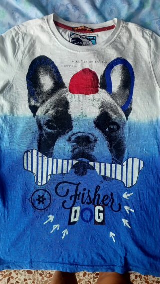 Camiseta Desigual Fisher Dog