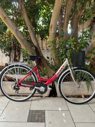 Bicicleta de Paseo Aluminio