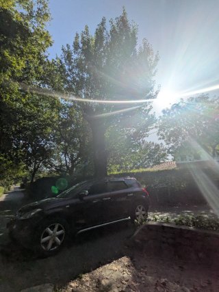 Nissan Murano 2005