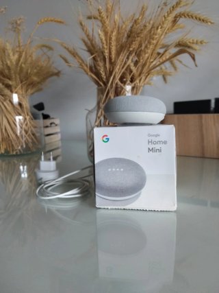 Google Home Mini