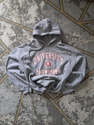 Sudadera Vintage University Antwerpen Gris XL