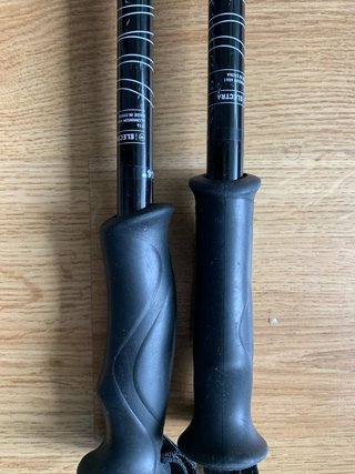Bastones de Esquí Rossignol 110 cm