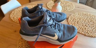 Zapatillas Nike Winflo 11
