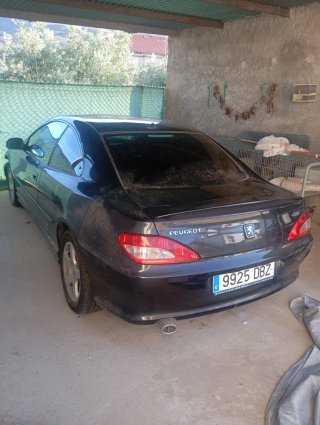 Peugeot 406 coupé serie limitada 2004