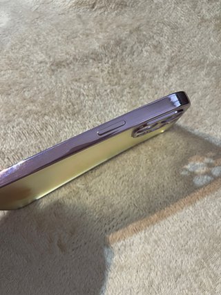 Custodia iPhone 12 Pro Max
