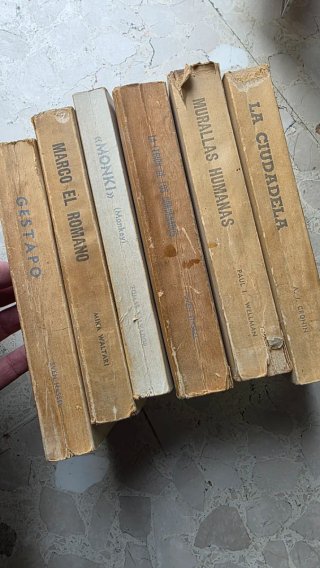 Lote 6 Libros Vintage Reno