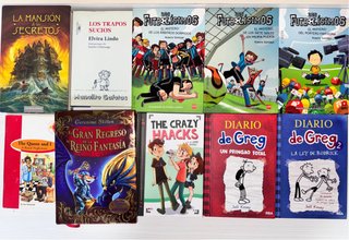 Lote de libros infantiles y juveniles