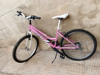 Bicicleta Gotty Rosa