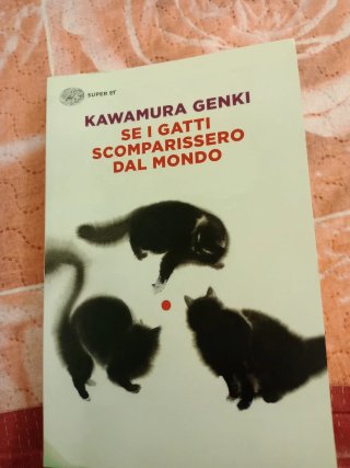 Libro Se i gatti scomparissero dal mondo