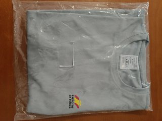 Camiseta Entrenamiento Ejército de Tierra