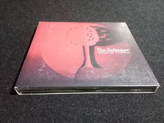 The Subways – Young For Eternity
