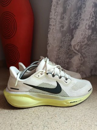 Zapatillas Nike Pegasus 41