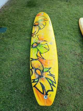 Tabla de Surf Longboard Watsay
