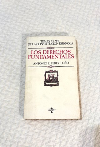 Los Derechos Fundamentales. Constitución Española